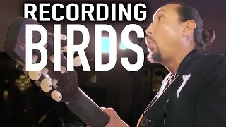 Live Looping Three Little Birds By Bob Marley