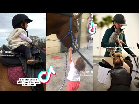 Les plus beaux chevaux - compilation 2023