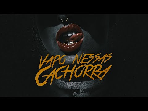 88BIG E MC DJR - VAPO NESSAS CACHORRA (VISUALIZER) - MATHEUS NO BEAT