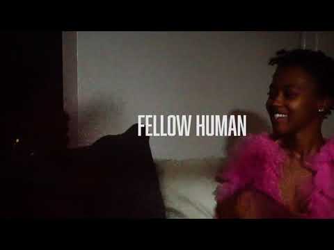 Fellow Human - Let’s Talk
