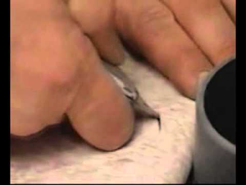 download lagu mp3 mp4 Tarkett Zemin Kaplama, download lagu Tarkett Zemin Kaplama gratis, unduh video klip Tarkett Zemin Kaplama