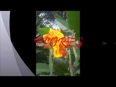 INTI YAYKUNA relax, aventura entorno a la naturaleza