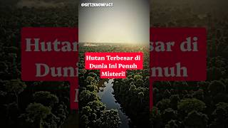 Download lagu 🌳 Apa yang Tersembunyi di Dalam Hutan Amazon? #shorts mp3