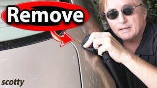 How to Remove Tree Sap and Bird Poop from Car Paint - The Right Way
