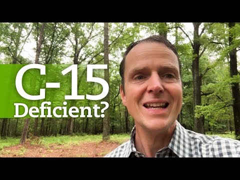 C15 Deficiency: The Low-Fat Lie That’s Costing You Brain Health