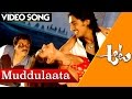 Muddulaata Video Song Aata Movie Video Songs Siddharth Ileana Bhavani HD Movies