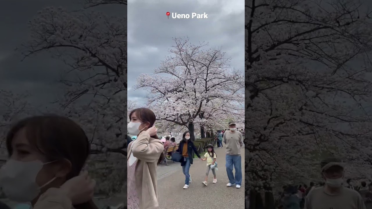 YouTube Short thumbnail