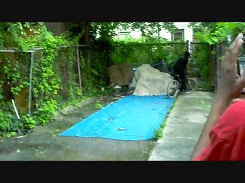 backyard xgames (just bullshittin)