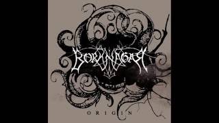 Borknagar - Oceans Rise [with lyrics]