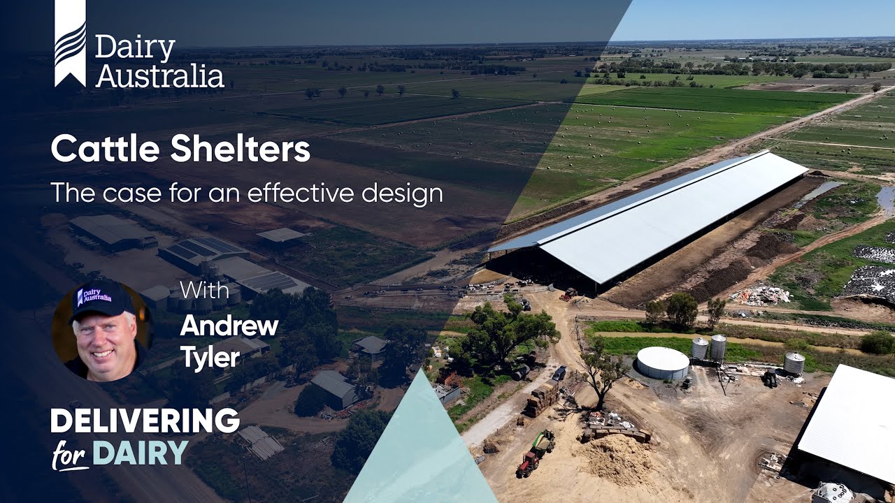 Cattle Shelters: The case for an effective design | Feeding & Farm Systems
