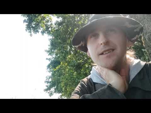 Po co ludzie przytulają drzewa?