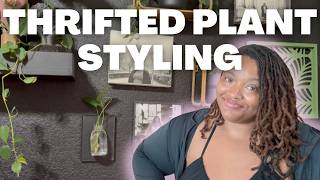Plant Styling With Thrifted Finds + finding root rot