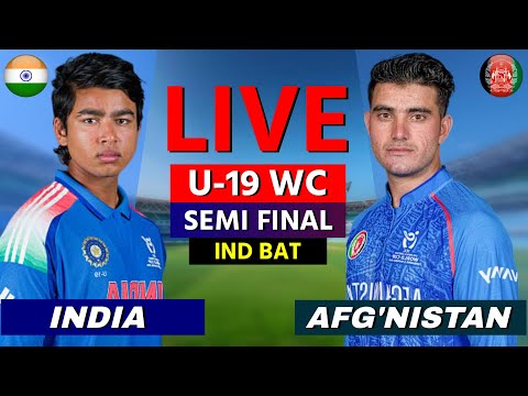 🔴 Live: IND U19 vs AFG U19, SEMI FINAL, U19 World Cup 2026, Live Cricket Score, Hindi Commentary