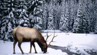 Young Guns - You Are Not