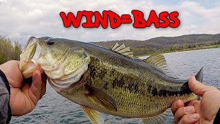 BASS FISHING in the WIND!!! (Jerkbait & Spinnerbait CATCHES 'EM!!!)