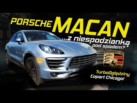 VLOG Oględziny IAA Chicago - Wiele niedrogich fur na placu