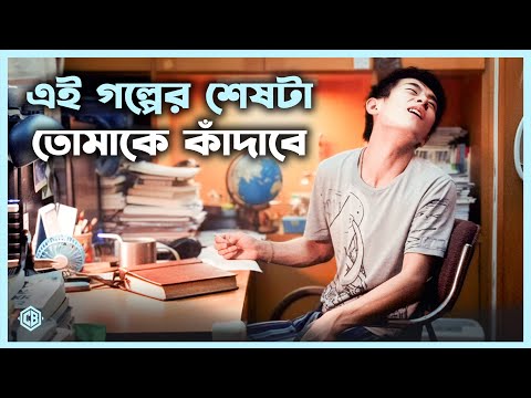 একটি জীবন সংগ্রামের গল্প 💖 Big World (2024) Movie Explained in Bangla। Cineseries Bangla