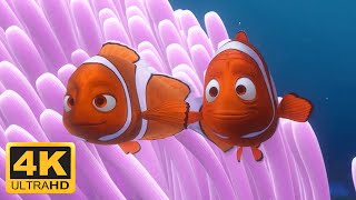 Finding Nemo (2003) Opening Scene Meet Nemos Mom &