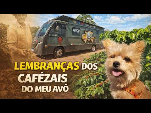 OS CAFEZAIS E AS LEMBRANÇAS DO PASSADO - Ibiraci - MG  #levyselhorst  #pauloselhorst