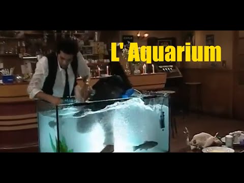 H - La scène de l' Aquarium