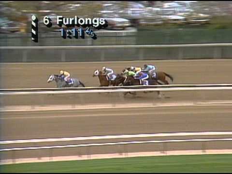 1985 Breeders' Cup Distaff