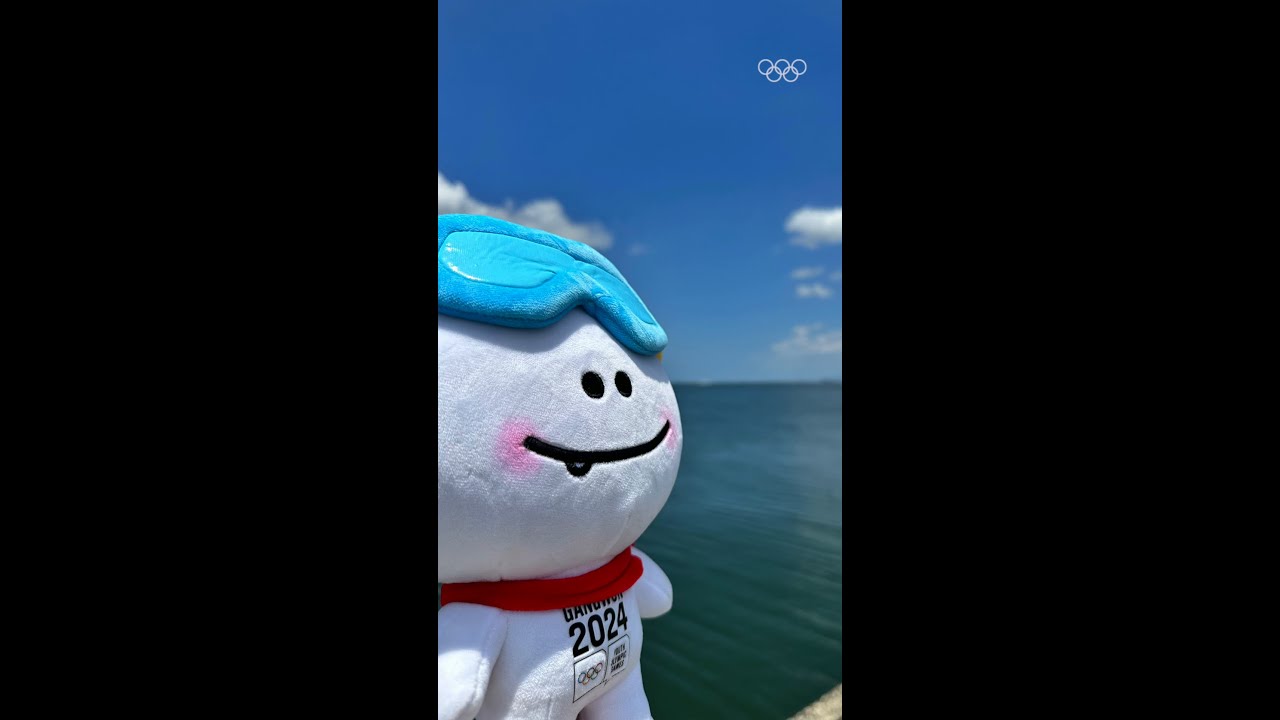 The mascots are enjoying a holiday together! 🏖️