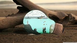 Reaktion by Carbon Based Lifeforms