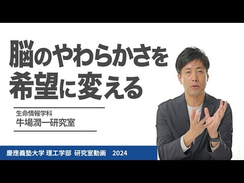 生命情報学科 牛場潤一研究室 脳のやわらかさを希望に変える#研究室紹介 #2024