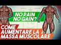 No PAIN no GAIN? - COME aumentare la MASSA MUSCOLARE - I 7 PRINCIPI