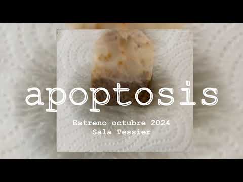 Apoptosis - obra de teatro