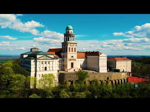 Shorts Pannonhalma Bencés Apátság x Győr-Moson-Sopron Megye #1