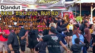 Download lagu Lagu Djandut Terbaru‼️NEW SRIJOYO PUTRO | SHAFIRA AUDIO Live Bandarkedungmulyo mp3 Download lagu Lagu Djandut Terbaru‼️NEW SRIJOYO PUTRO | SHAFIRA AUDIO Live Bandarkedungmulyo mp3