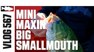 Catching Big Smallmouth on the Mini Max w/Clausen