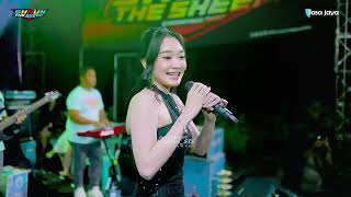 Download lagu KECEWA DIFARINA IDNRA - SHAUN THE SHEEP - WEDDING PARTY NI'AM & SINTA - POLBAYEM SUMBER REMBANG mp3 Download lagu KECEWA DIFARINA IDNRA - SHAUN THE SHEEP - WEDDING PARTY NI'AM & SINTA - POLBAYEM SUMBER REMBANG mp3