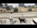 Stupid Dog You Made Me Look Bad