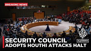 Security Council adopts resolution calling for hal