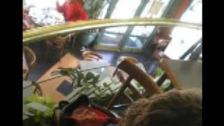 Tuve sol- bajofondo  BA