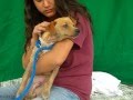 A4715352 Ernie