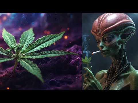 YouTube Video Preview