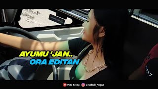 Download lagu Story'wa Ayumu Tenanan ORA editan Versi Leddy Bisser mp3