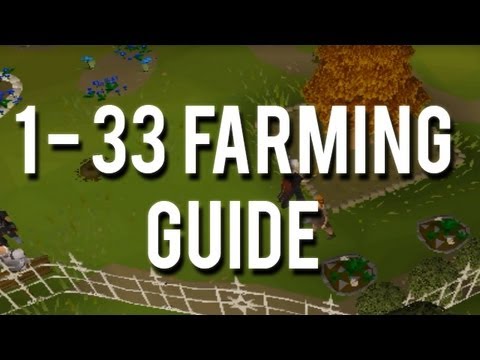 Runescape 2007: How to Get 1-33 Farming without Actually Farming