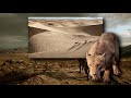 The Lion King 2019 Spirit Italian Blu Ray Version HD