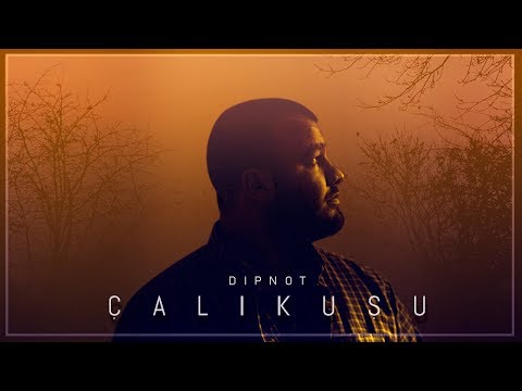 Dipnot - Çalıkuşu (Official Video)