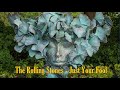 The Rolling Stones - Just Your Fool