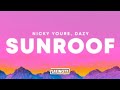 Nicky Youre Dazy Sunroof Lyrics