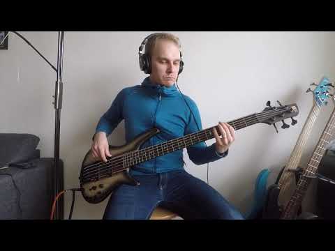Nightwish - She Is My Sin (Bass cover)