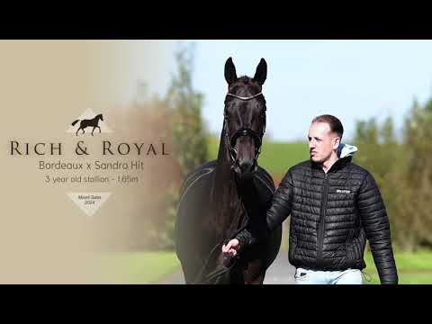 RICH & ROYAL - VRIJ BEWEGEN