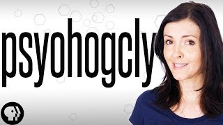 THE PAOMNNEHAL PWEOR OF THE HMUAN MNID