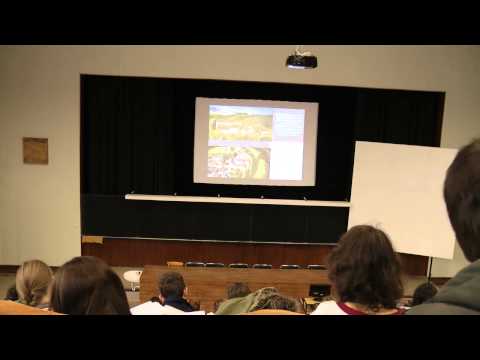 Dějiny Archytiktury 2 - PhDr. Rudolf Pošva, CSc. - Přednáška č.:4