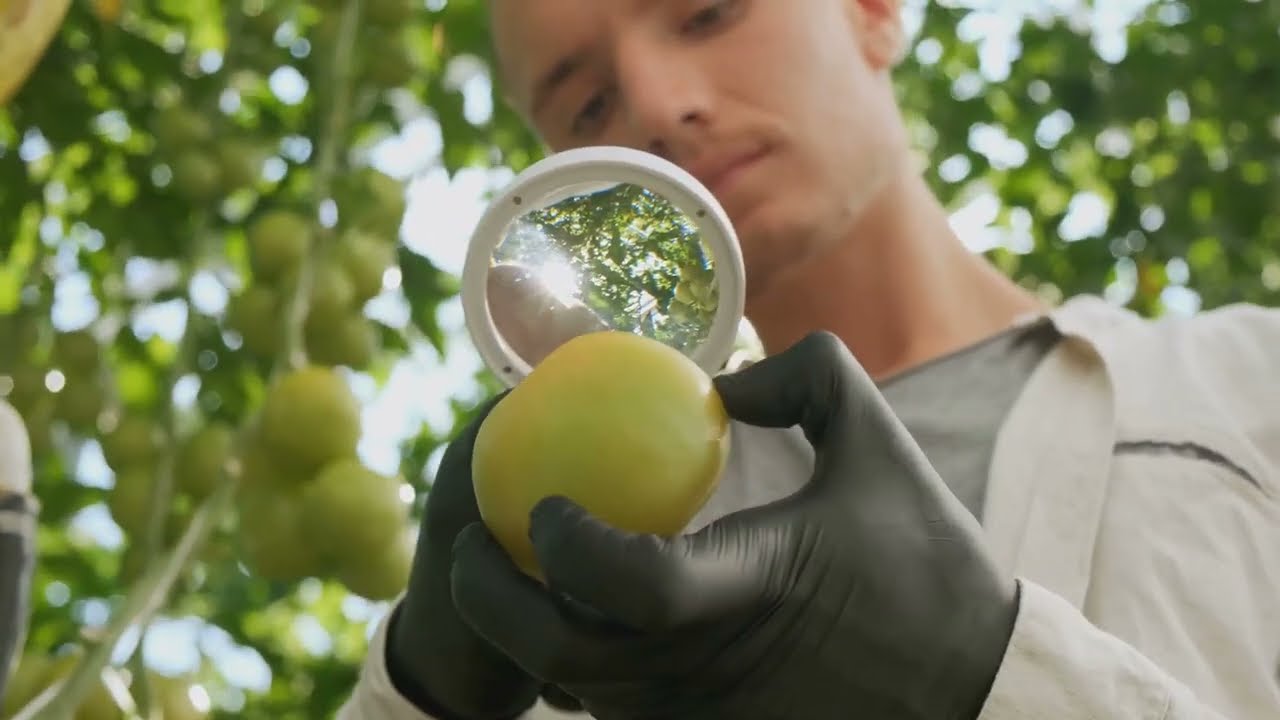 Mastering Evaluation Research